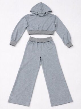 Women’s Outfit Set Gray Wide-Leg Sweatpants & Cropped Hoodie Size S